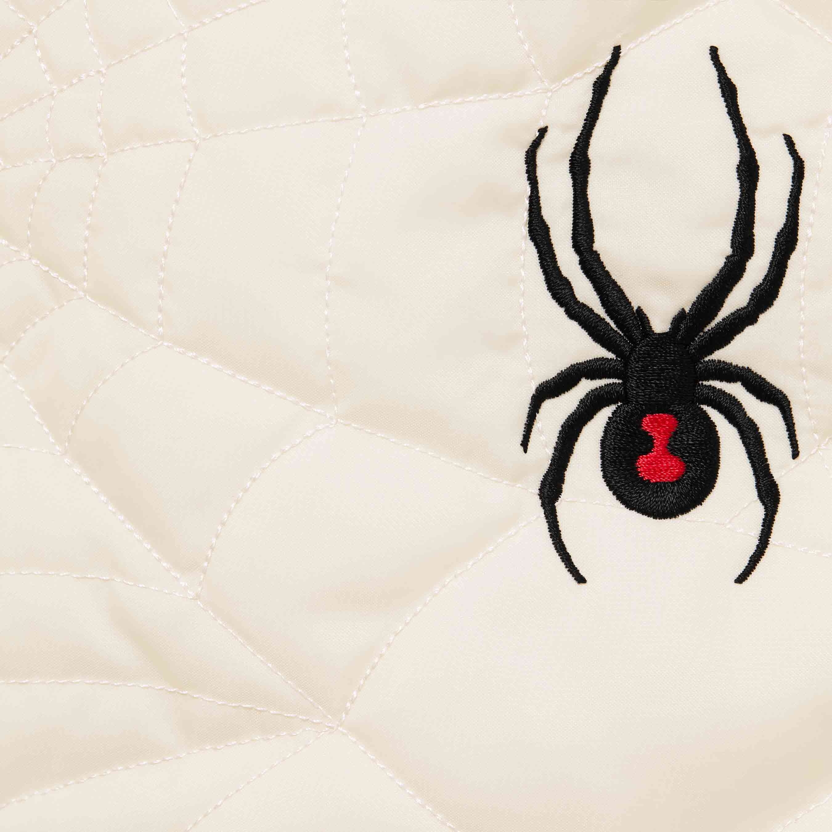 Supreme®/Spyder® Technical Jacket view 15